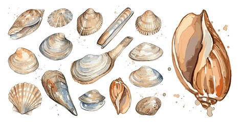 Clip Art set with colorful shells on a white background . Cute stock illustration. Hand painted in watercolor © Coffee and TV