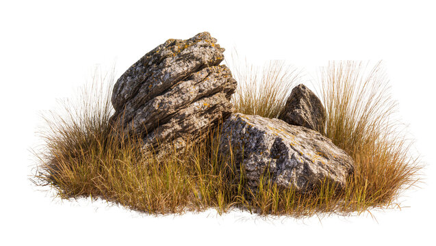 Rough textured boulders nestled in dry golden grass, isolated on transparent background