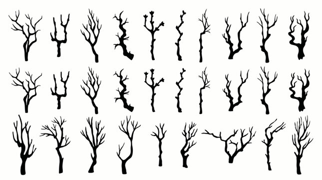 Minimalist silhouette illustration of diverse leafless trees with unique branching patterns and trunk shapes, isolated on white background for design and decoration