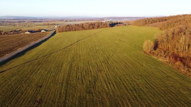 Southern Urals, winter crops in autumn. Aerial view.