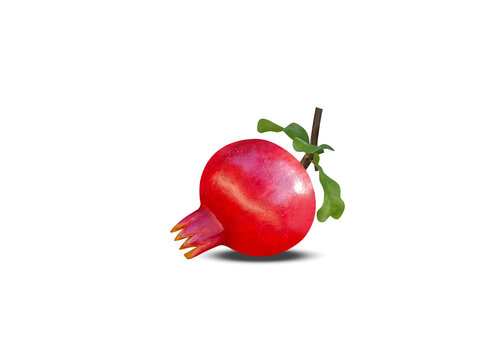 Pomegranate or Punica granatum fruits isolated on a white background