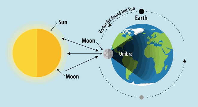 Educational monoline infographic illustrating the celestial orbit and alignment of the Sun, Earth, and Moon, depicting the mechanics of a solar eclipse and the umbra shadow