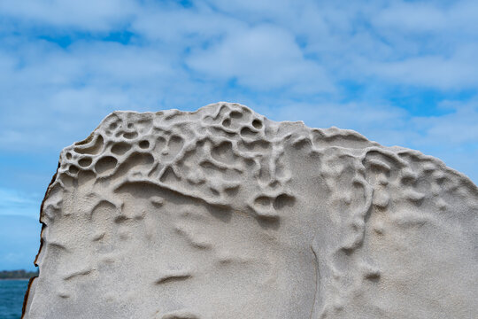 Close-up of honeycomb weathered rock (tafoni) against a blue cloudy sky. Yamba breakwater, New South Wales, Australia 