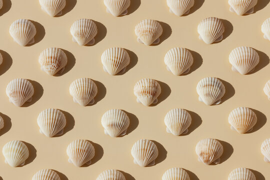 Seashells pattern on beige background with hard shadows