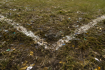 Fototapeta premium Mud and Glory on the Football Field After the Final Celebration