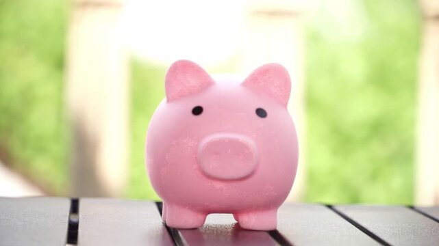 Hand of Person saving coins in piggy bank, economic growth and household budgeting concept.
