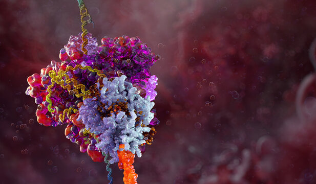 Protein complex interaction with DNA strand. Biomolecular structure, molecular machinery and cellular process. Biotechnology research, genetic engineering, drug discovery, CRISPR Cas9 enzyme 
