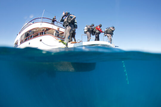Divers prepare to enter water from boat off coast during sunny day with clear skies
