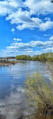 Fototapeta premium Spring landscape on the river, blue sky and trees in the water.