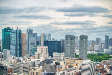 Fototapeta premium Panoramic perspective over Minato Tokyo from above, capturing high-rise buildings, city layout, and vast metropolitan landscape