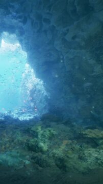 Sunlight shines through the underwater cave, illuminating the blue water and rocky walls. Fish swim in the water near the rocky floor. It is a secluded spot in nature.
