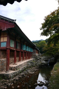 Beautiful autumn foliage at songgwangsa Temple in Suncheon, South Korea