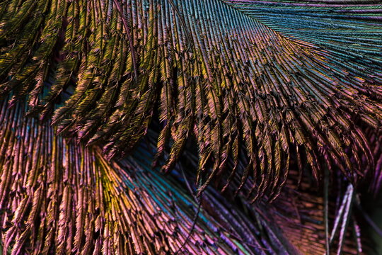 abstract colourful background.