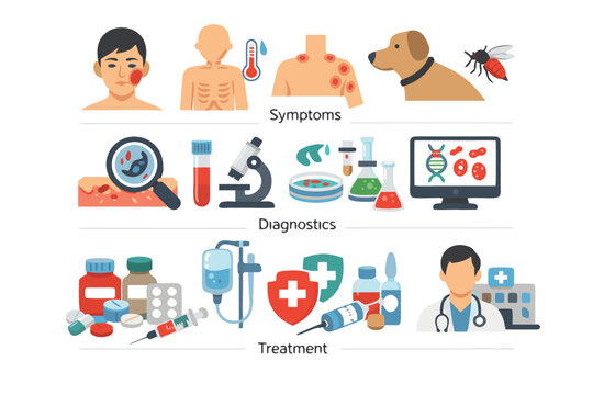 Leishmaniasis Symptoms Diagnostic and Treatment Vector Icon Set, Simple Flat Vector Illustration for Medical Education, Tropical Disease Awareness, Parasitology, Healthcare, and Public Health.