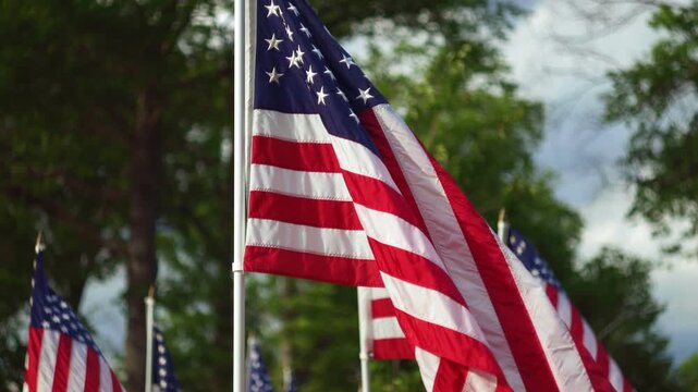 detail of American flag blowing in the wind at a local park with street lined with flags