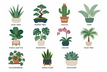 Variety of Potted Houseplants Displayed. © Lakon