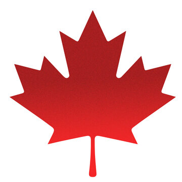 Simple red maple leaf silhouette on white background with silhouette canadian national isolated patriotism identity botanical symbolic minimalist autumnal