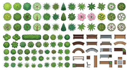 Trees Benches And Bushes Vector Illustration On White Background © MITHUN