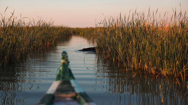 Exploring the serene Mesopotamian Marshes in southern Iraq at sunset