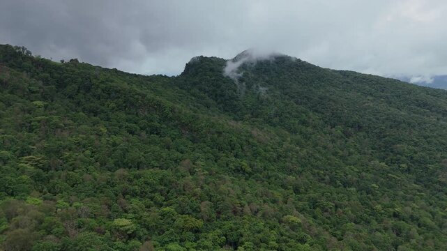 Aerial view of lush tropical rainforest and misty mountain landscape with dense green canopy under dramatic cloudy sky. Nature background featuring biodiversity, ecology, conservation, wilderness, and