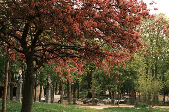 Paris, France