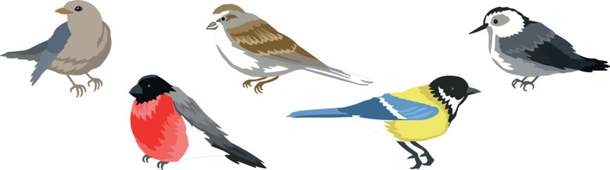 Small Garden Bird Icon Set with Bullfinch, Sparrow, Blue Tit, and Perching Songbirds in Natural Colors for Wildlife and Nature Design Projects © MDShakhawat