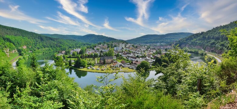 Neckarschleife Hirschhorn