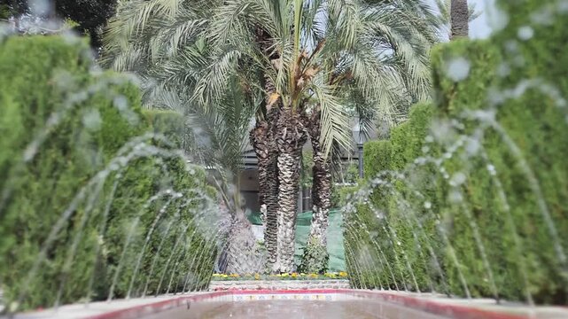 Super slow motion of an out-of-focus Spanish courtyard fountain, with palm trees in the background. Municipal park, Elche, Spain.