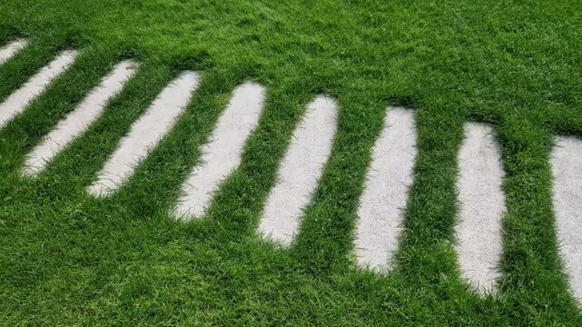 lawn version of zebra crossing It  clever garden walkway made of rectangular stepping stones layout designed to look like pedestrian crosswalk, very neat, rhythmic modern path.