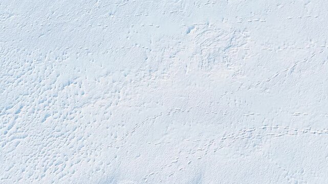 Drone captures expansive snowfield with scattered animal tracks, textured drifts, and natural patterns. Bright daylight highlights untouched, serene winter landscape in wide aerial footage.