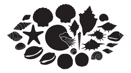 Collection Of Marine Shells And Starfish Black Silhouette © Md