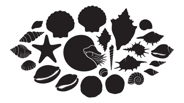 Collection Of Marine Shells And Starfish Black Silhouette