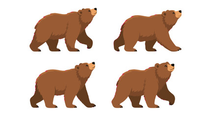 Set of brown bear walking poses in flat vector style © Mark