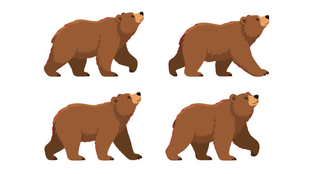 Set of brown bear walking poses in flat vector style
