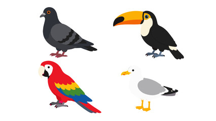 Fototapeta premium Cartoon bird set with pigeon toucan parrot and seagull