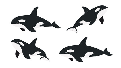 Set of cartoon orca whales isolated on white background © Mark
