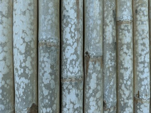 Close up view background from old bambo fence with snow