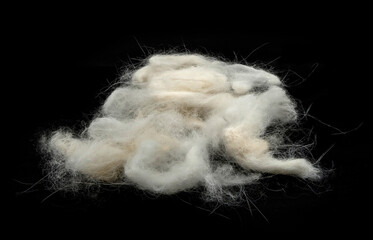 Loose pile of Loose white pet fur or wool lint clump on black background, textured natural material close-up. © Mukta