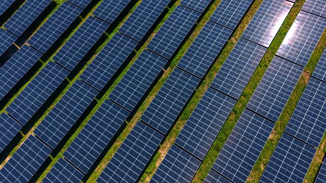 Overhead pattern of solar panel rows separated by green grass. Top-down repeating grid of tilted modules with grassy lanes and bright sun glare at upper edge.