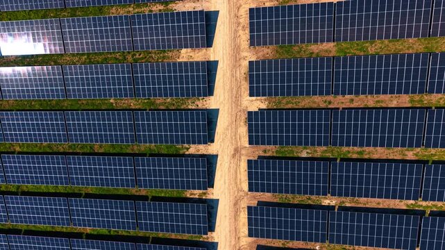Top-down symmetry of solar rows split by central dirt track. Vertical drone frame of mirrored module ranks divided by a pale sandy lane with grassy gaps.