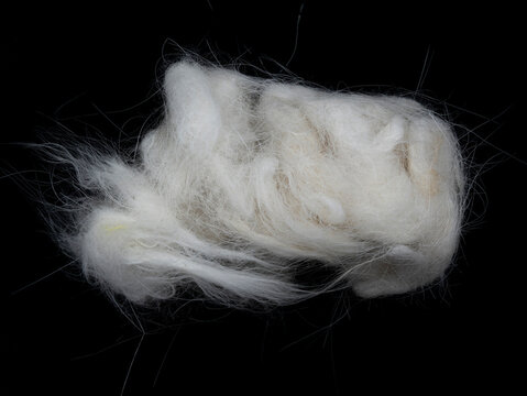 Loose white pet fur or wool lint clump on a black background, showing soft texture and wispy strands; concept of textile material, insulation, or natural wool.
