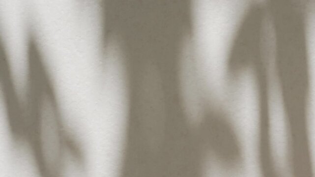 Beautiful soft focus tropical leaf shadow moving on white painted wall background with copy space