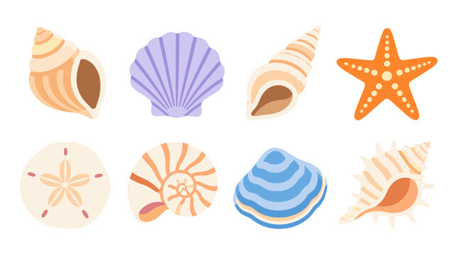 Collection of colorful seashell and starfish vector icons