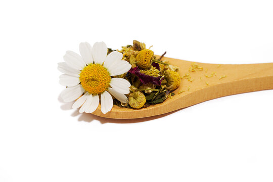 A spoon with different types of tea and dried herbs with chamomilla flower