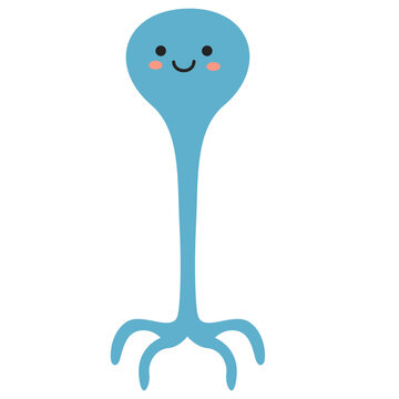 Unipolar Human Nerve Cell