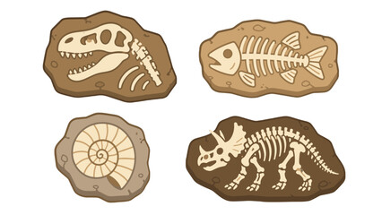 Cartoon fossil set with dinosaur skull fish skeleton and ammonite © Mark