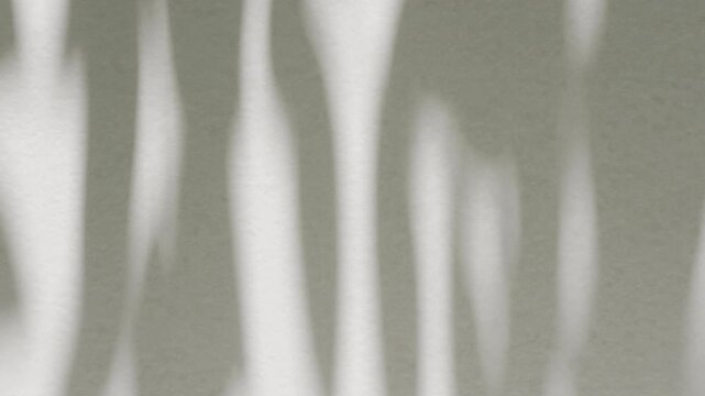 Minimalist long leaf foliage shadow waving in the wind on smooth white wall background