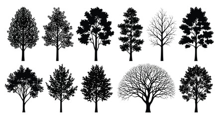 Fototapeta premium Tree silhouettes set with various leafy and bare trees on white background