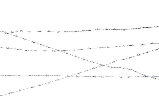 This image features several strands of barbed wire with sharp points and twisted metal, arranged in a complex pattern against on transparent background, showcasing the wire's texture and details.