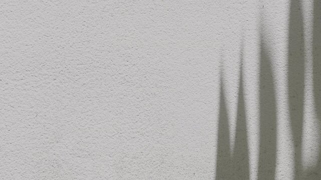 Minimalist tropical leaf shadow casting on corner of white painted wall background